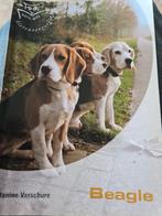 Beagle  honden Janine Verschuure, Ophalen of Verzenden, Gelezen, Honden, Janine Verschuure