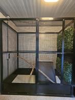Vogelkooien / kweekkooien in zwart aluminium met zwart gaas, Dieren en Toebehoren, Vogels | Hokken en Kooien, Ophalen, Zo goed als nieuw