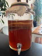 Kombucha SCOBY XL, Diversen, Levensmiddelen, Ophalen