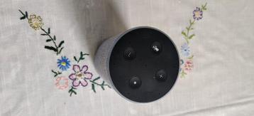 Amazon Alexa, Home Assistant beschikbaar voor biedingen