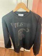 Trui catwalk junkie maat xs, Ophalen of Verzenden, Zo goed als nieuw, Maat 34 (XS) of kleiner