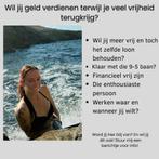 Thuis werken, Overige niveaus, Starter, Overige vormen