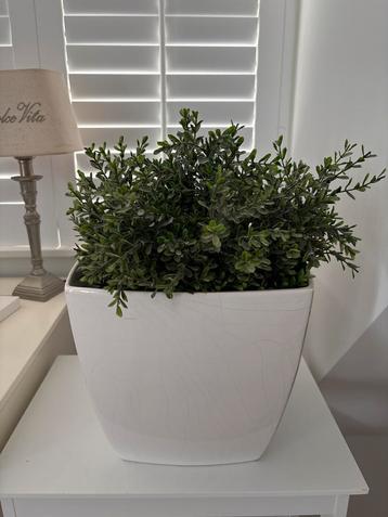 2x Witte Plantenpotten zonder Plant beschikbaar voor biedingen