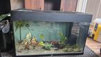 Juwel rio 125 aquarium 80 cm leeg, Dieren en Toebehoren, Vissen | Aquaria en Toebehoren, Ophalen, Gebruikt, Leeg aquarium