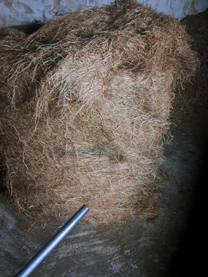 Grote ronde baal hooi, Dieren en Toebehoren, Dierenvoeding, Vee, Ophalen of Verzenden