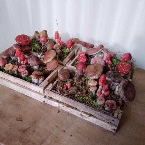 Papier-mâche Paddenstoelen in houten kist, Antiek en Kunst, Curiosa en Brocante, Verzenden