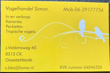 Gevraagd div soorten vogels . Zie omschrijving beschikbaar voor biedingen