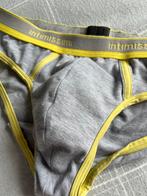 Grijze intimissimi brief, Kleding | Heren, Ophalen of Verzenden, Grijs, Slip