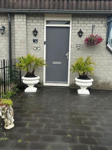sierlijke Betonnen bloempotten 40x40 €60 & 60x50 €90 beschikbaar voor biedingen