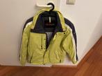 Falcon Jas Maat M bijna gratis, Kleding | Dames, Jassen | Winter, Ophalen, Zo goed als nieuw, Maat 46/48 (XL) of groter, Groen