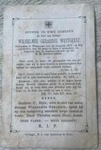 Wilhelmus Gerardus Westgeest , 1872 62 jaar Wassenaar, Antiek en Kunst, Antiek | Boeken en Bijbels, Ophalen of Verzenden