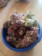 Te koop emmer vol dry reef rock, dood steen voor zeeaquarium, Dieren en Toebehoren, Vissen | Aquaria en Toebehoren, Ophalen, Gebruikt