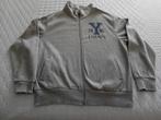 SWEAT VEST HEREN GRIJS  XL/XXL I.G.ST, Ophalen of Verzenden, Zo goed als nieuw, Overige maten, Grijs