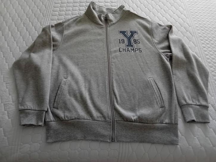 SWEAT VEST HEREN GRIJS  XL/XXL I.G.ST, Kleding | Heren, Truien en Vesten, Zo goed als nieuw, Overige maten, Grijs, Ophalen of Verzenden
