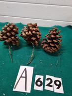 Dennenappels groot drie stuks , [a629, Diversen, Kerst, Ophalen of Verzenden