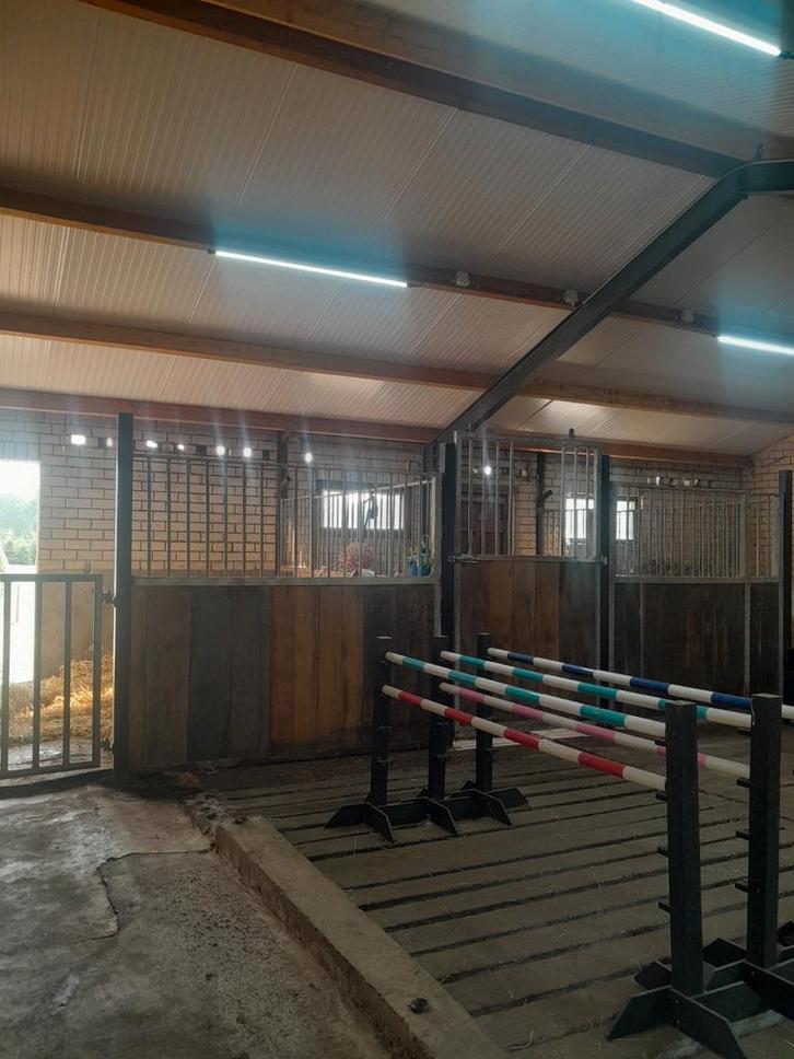 Mini Jump hindernissen minipaardje / hond / Hobbyhorse, Dieren en Toebehoren, Paarden en Pony's | Overige Paardenspullen, Zo goed als nieuw