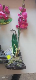 Lucky reptile Orchid pink 30 cm, Dieren en Toebehoren, Ophalen, Zo goed als nieuw, Terrarium of Paludarium