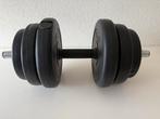 Halterschijven / Gewichten, Ophalen of Verzenden, Gebruikt, Armen, Halterschijven