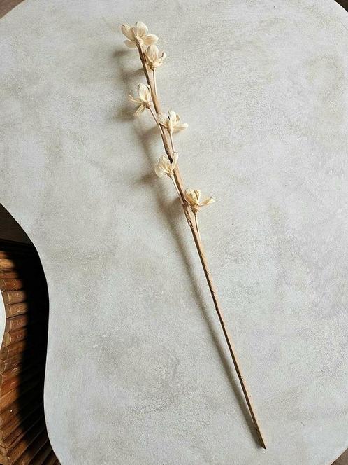 Kunstbloem Maisblad 3 uit Bali, Huis en Inrichting, Woonaccessoires | Droogbloemen, Nieuw, Ophalen of Verzenden