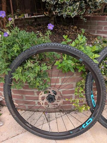 Fulcrum Gravel / cross wielset met banden  beschikbaar voor biedingen