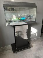 Aquarium 60x30 incl. meubel, Dieren en Toebehoren, Ophalen of Verzenden, Gebruikt, Verlichting of Verwarming