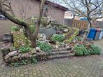 Gratis af te halen charmant watervalletje met beplanting, In pot, Bloeit niet, Halfschaduw, 100 tot 250 cm