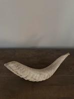 Verschillende hoorns, Ophalen of Verzenden, Zo goed als nieuw