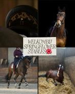 Luxe paardenbox(en) & complete stalunit bij Tilburg, Dieren en Toebehoren, Stalling en Weidegang, Stalling, 4 paarden of pony's of meer