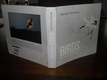 MARKUS VARESVUO-BIRDS IN PICTURES.
