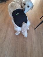 Loopsheid broekjes maat L, Ophalen of Verzenden, Zo goed als nieuw