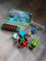 Duplo lego 10581 eenden compleet, Duplo, Ophalen of Verzenden, Zo goed als nieuw