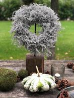 HERFST: PRACHTIGE Asparagus krans white doorsnede ca. 35 cm., Nieuw, Ophalen of Verzenden, Nvt, Nvt