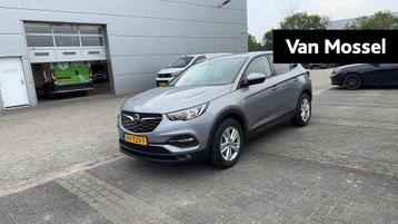 Opel Grandland X 1.2 Turbo Online Edition | PDC | Trekhaak | beschikbaar voor biedingen