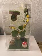 Springspinnen verblijf, Spin of Schorpioen