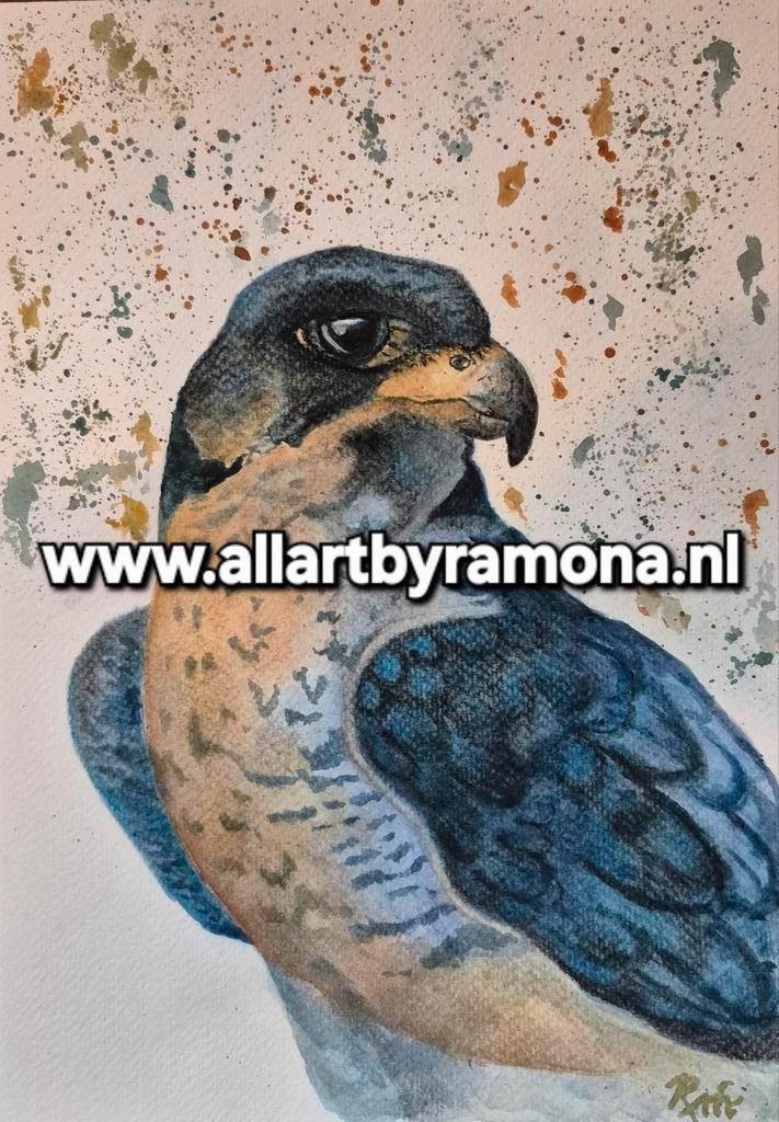 2 valken aquarellen/ multimedia A4, Antiek en Kunst, Kunst | Schilderijen | Modern, Ophalen of Verzenden