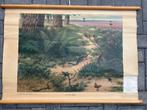Op de heide, Antiek en Kunst, Ophalen of Verzenden, Natuur en Biologie