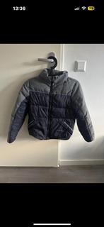 Kingsland Jas - Maat 146/152, Ophalen of Verzenden, Zo goed als nieuw, Overige soorten, Bovenkleding
