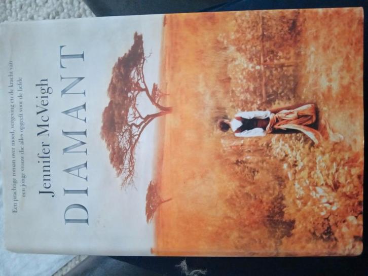 Jennifer McVeigh - Diamant, Boeken, Literatuur, Zo goed als nieuw, Nederland, Ophalen of Verzenden