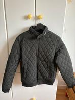 Zara Men Gewatteerd Jasje - Donkergroen - Maat S, Ophalen of Verzenden, Nieuw, Maat 46 (S) of kleiner, Groen