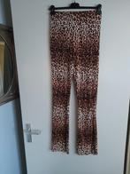 Dames print broek mt S/M AMBIKA, Kleding | Dames, Ophalen of Verzenden