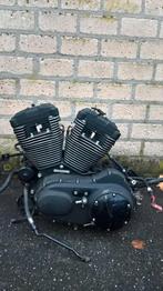 Eigenbouw kenteken 1995 Sportster Harley 883 Chopper bobber, Motoren, Onderdelen | Harley-Davidson, Ophalen, Nieuw