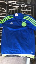 Ajax shirt maat 152, Maat 46 (S) of kleiner, Blauw, Ophalen of Verzenden, Addidas