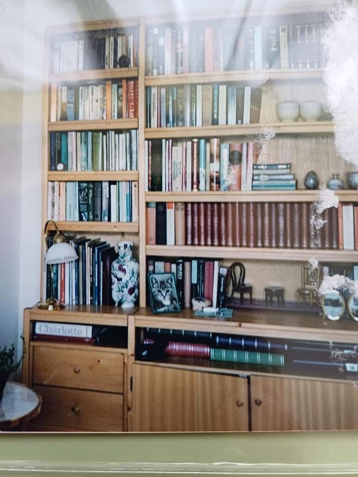 boekenkast, Huis en Inrichting, Kasten | Boekenkasten, Zo goed als nieuw, 150 tot 200 cm, 200 cm of meer, 25 tot 50 cm, Met lade(s)