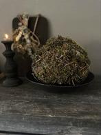 Mosbal met bonsai takjes, Huis en Inrichting, Ophalen of Verzenden, Nieuw