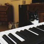 Huur een digitale ( electrische) piano, Muziek en Instrumenten, Piano's, Zwart, Digitaal, Ophalen of Verzenden, Zo goed als nieuw