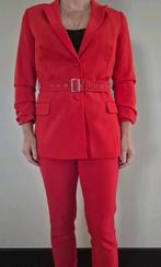Aaiko Co ord pak jasje en pantalon fel rood 36, Ophalen of Verzenden, Zo goed als nieuw, Maat 36 (S), Rood