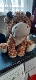 Knuffel, Ophalen of Verzenden, Zo goed als nieuw, Overige typen