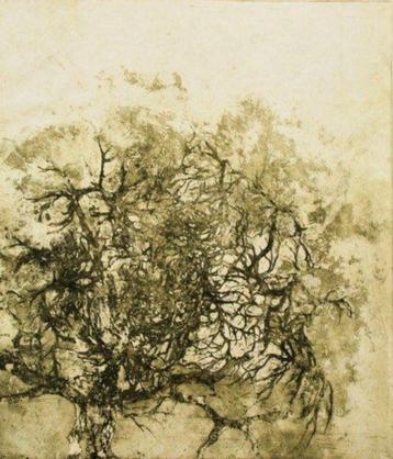 Herbstbaum, ets (unicum) van Elmar Gille (1947-2015) beschikbaar voor biedingen