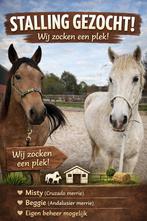 Stalling gezocht, Dieren en Toebehoren, Stalling en Weidegang, Stalling