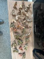 Lot van 30 ongeprepareerde pijlstaarten, Ophalen of Verzenden, Zo goed als nieuw, Insect, Beeldje of Figuurtje